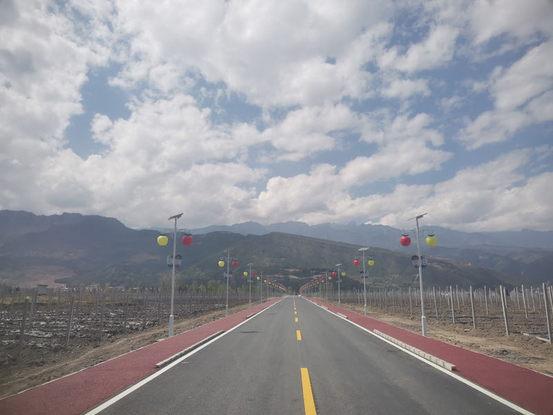 道路交通标线 道路交通标线